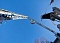 Строительство и реконструкция ПС 110 кВ №318_Возрождение