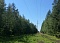 Реконструкция ВЛ 110-кВ "Сосновоборская-6" и "Сосновоборская-5"