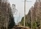 Реконструкция ВЛ 110-кВ "Сосновоборская-6" и "Сосновоборская-5"